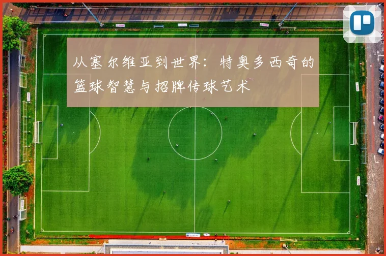从塞尔维亚到世界：特奥多西奇的篮球智慧与招牌传球艺术