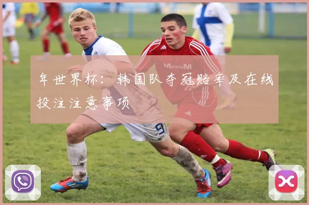 年世界杯：韩国队夺冠赔率及在线投注注意事项