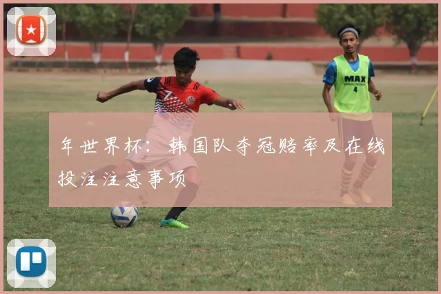 年世界杯：韩国队夺冠赔率及在线投注注意事项