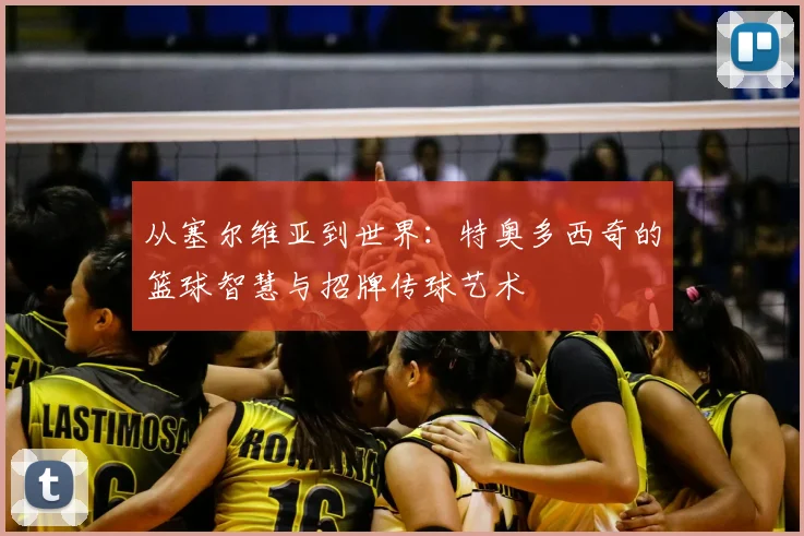 从塞尔维亚到世界：特奥多西奇的篮球智慧与招牌传球艺术